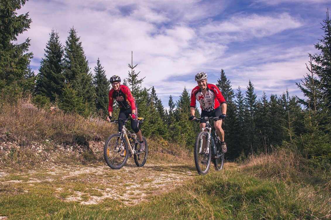 Mountain Biking Mountain Bike Route to Scheibe - Touren-Impression #1 | © TV Hochsteiermark