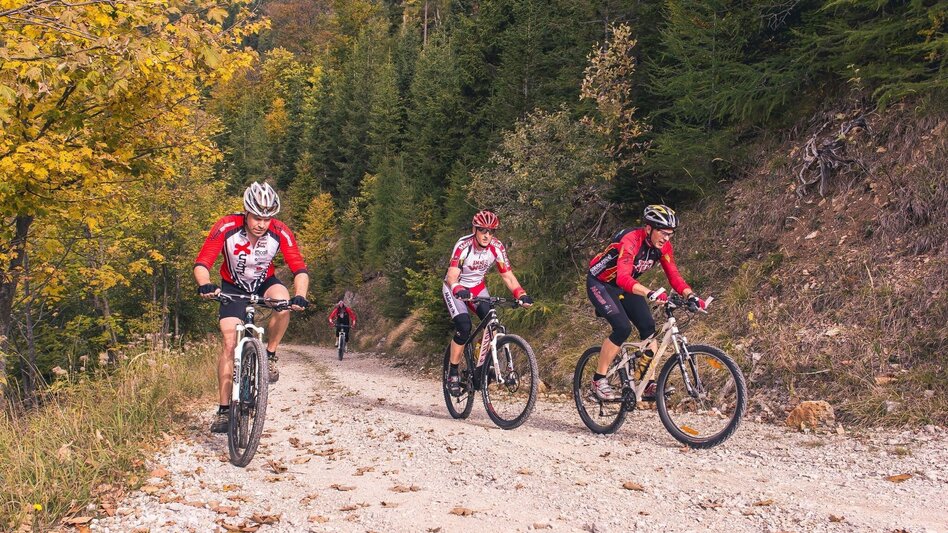 Mountain Biking Mountain Bike Route to Scheibe - Touren-Impression #2.2 | © TV Hochsteiermark