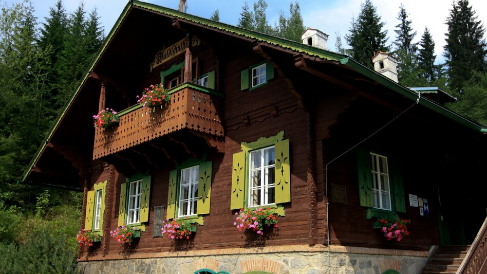 Hiking route Auf den Spuren Peter Roseggers - Durch seine Heimat - Touren-Impression #2.1 | © Steiermark Tourismus/Harry Schiffer