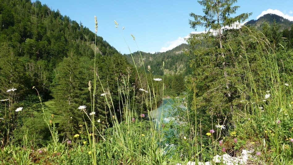 Bike Riding R 16 Salzatal bike path - Touren-Impression #2.1 | © Tourismusverband Wildalpen
