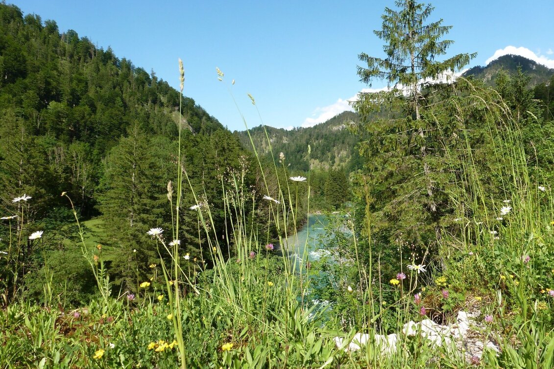 Bike Riding R 16 Salzatal bike path - Touren-Impression #1 | © Tourismusverband Wildalpen