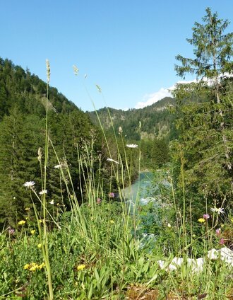 Blick von der Hochschwab Landesstrasse B24 zur Salza  | Christian Scheucher | © Tourismusverband Wildalpen