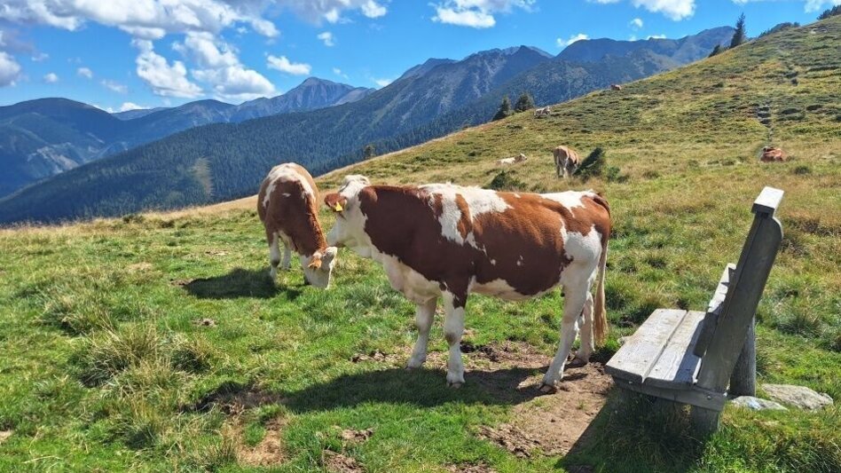 Bergtour Himmeleck - Hintertriebental - Touren-Impression #2.3 | © Weges OG