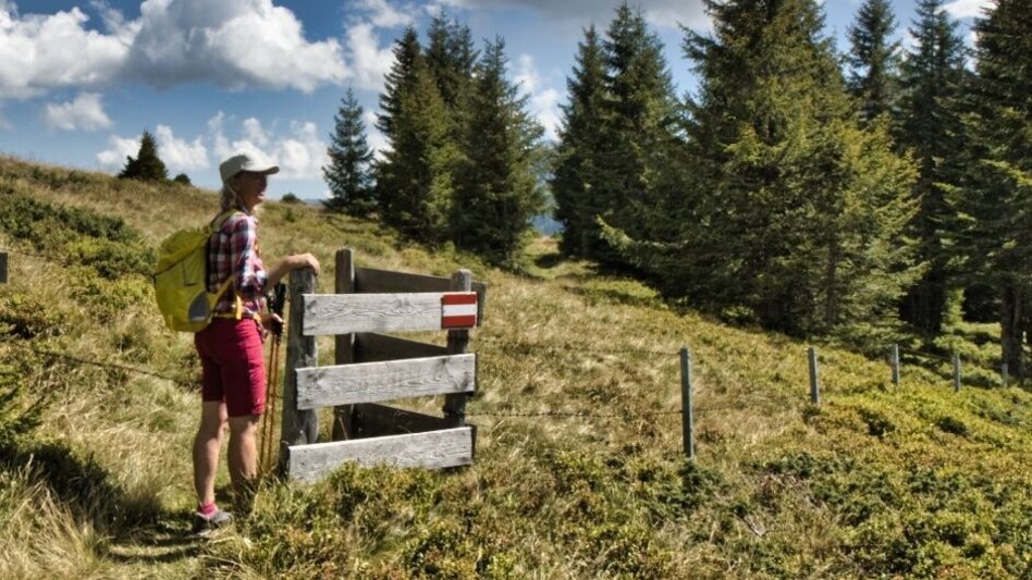 Bergtour Himmeleck - Hintertriebental - Touren-Impression #2.4 | © Weges OG