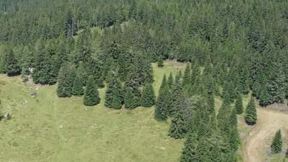 Pilgerweg 5. Etappe: Jakobsweg Weststeiermark - Touren-Impression #2.1 | © TV Steirische Rucksackdörfer