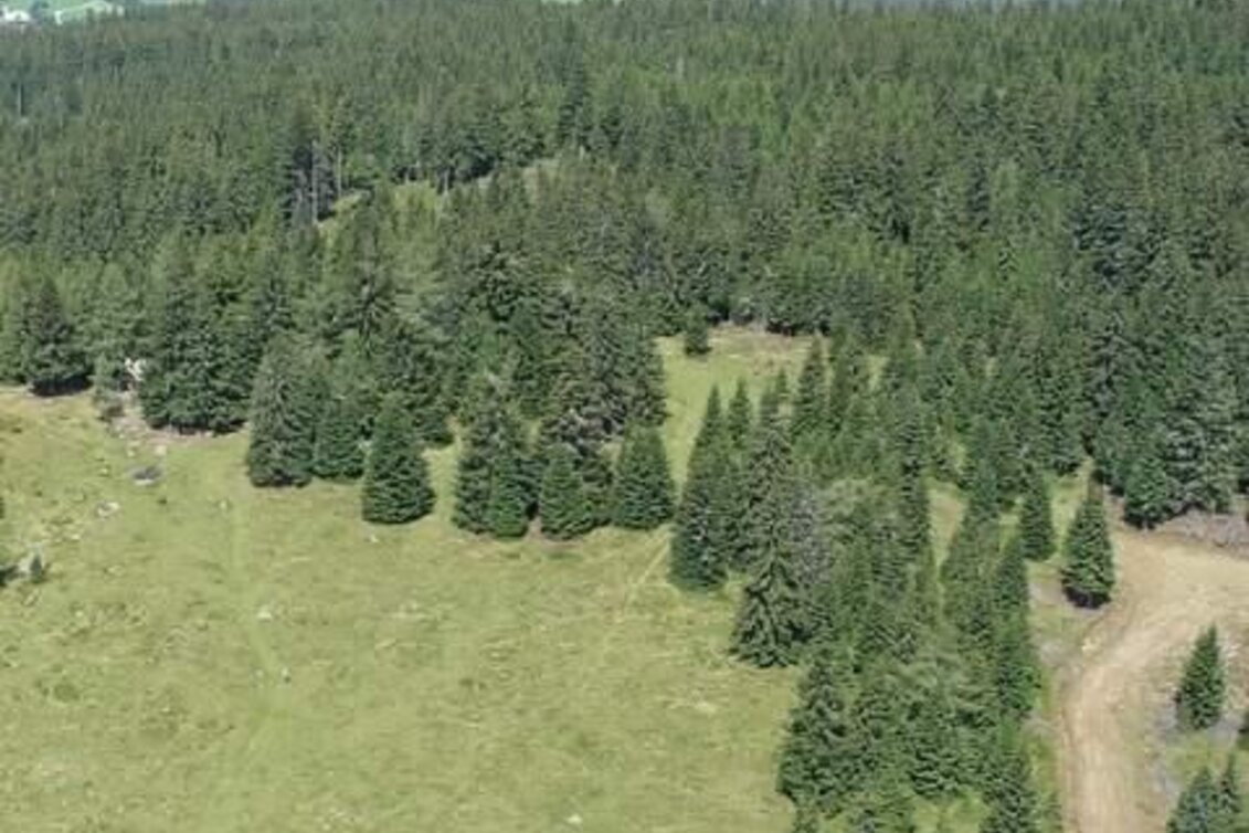 Pilgerweg 5. Etappe: Jakobsweg Weststeiermark - Touren-Impression #1 | © TV Steirische Rucksackdörfer