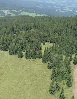 Schrogentor | Mediasoft/Kurz | © TV Steirische Rucksackdörfer