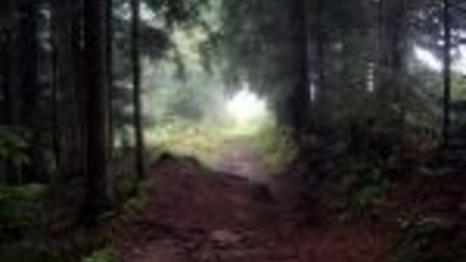 Pilgerweg 5. Etappe: Jakobsweg Weststeiermark - Touren-Impression #2.5 | © Region Graz