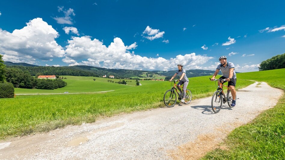 Bike Riding Lipizzaner Tour - Touren-Impression #2.1 | © Region Graz