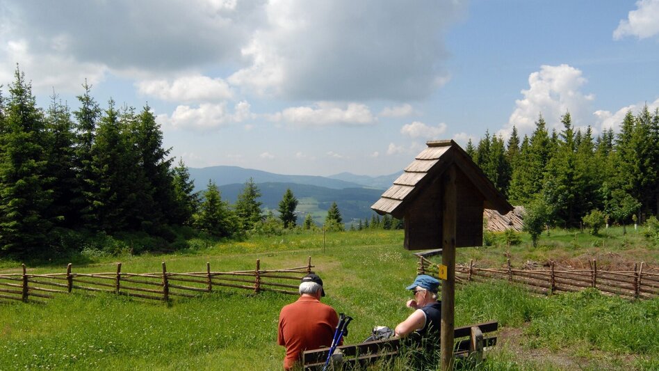 Themen- und Lehrpfad Kultwanderweg Sonnenweg, Miesenbach - Touren-Impression #2.1 | © Wildwiesenhof