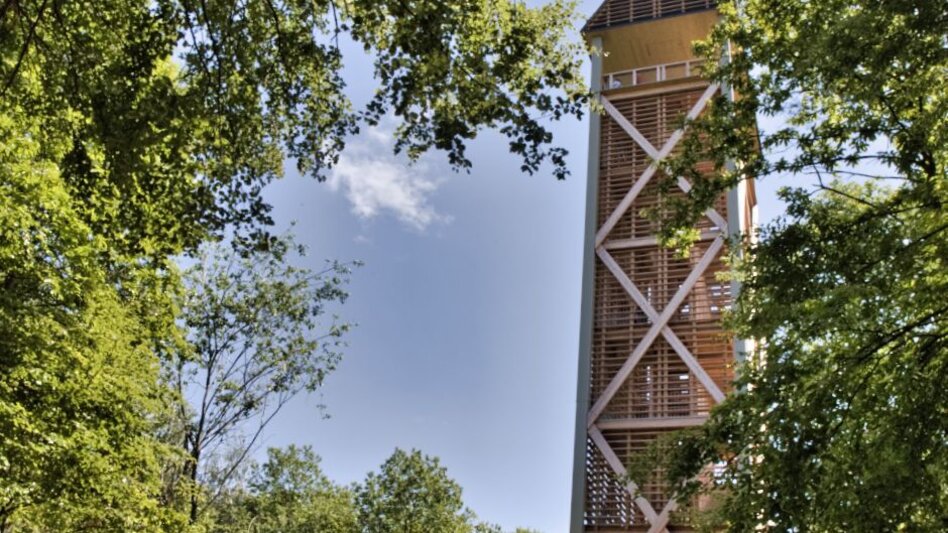 Wanderung Sausaler Rundwanderweg K2  - Touren-Impression #2.2 | © TV Südsteiermark - WEGES