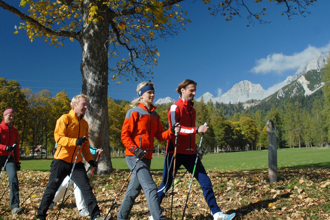 Nordic Walking Nordic Walking Rittisbergrunde - Touren-Impression #1 | © Erlebnisregion Schladming-Dachstein