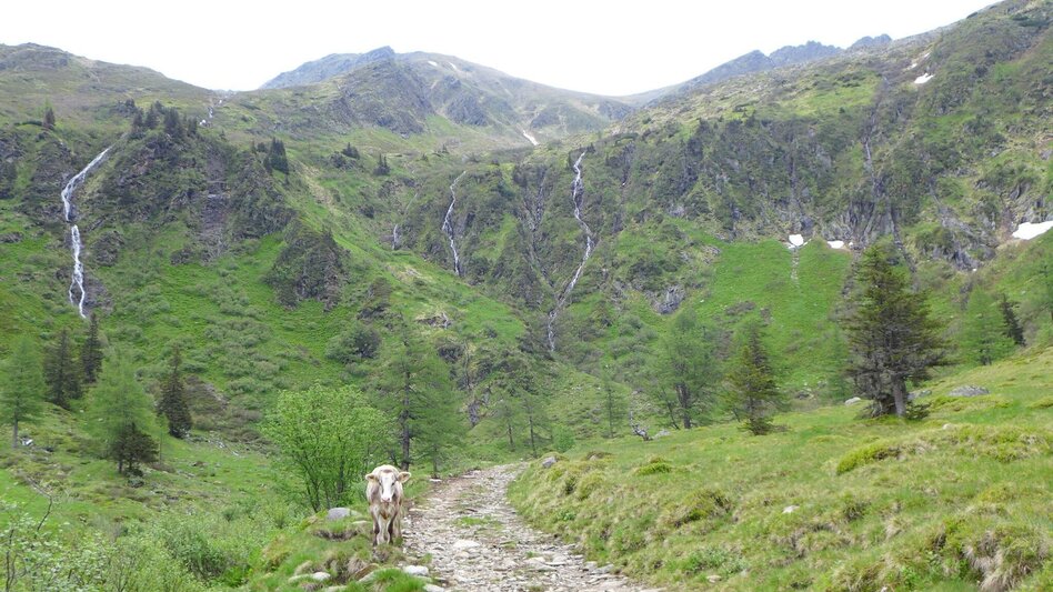 Bergtour Hochstubofen - 2.385m - Touren-Impression #2.11 | © Fotograf: Volkhard Maier