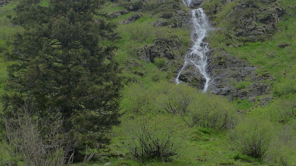 Bergtour Hochstubofen - 2.385m - Touren-Impression #2.12 | © Fotograf: Volkhard Maier