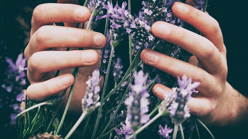 Theme path Way Edge Pharmacy - Touren-Impression #2.2 | © Tourismusverband Murau