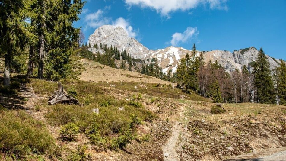 Hiking route From Johnsbach to Mödlingerhütte to the Heroes Cross - Touren-Impression #2.5 | © TV Gesäuse