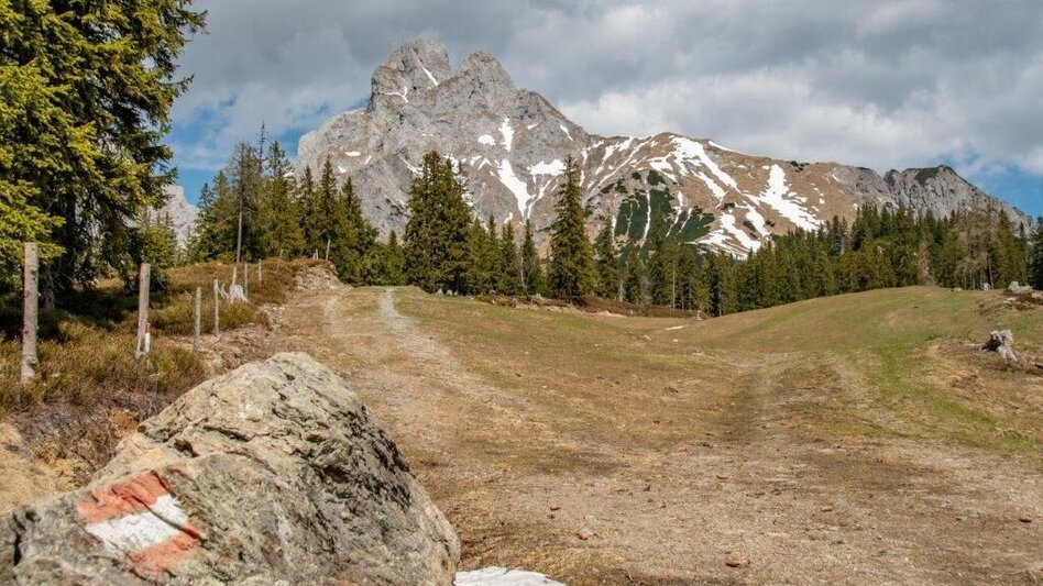 Hiking route From Johnsbach to Mödlingerhütte to the Heroes Cross - Touren-Impression #2.7 | © TV Gesäuse