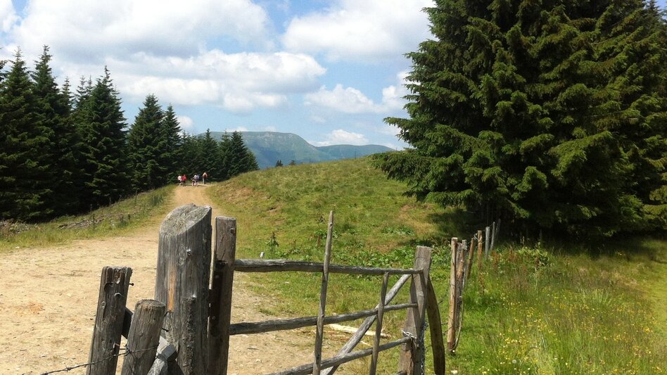 Fernwanderweg Koralm Kristall Trail - 1. Tagesetappe - Touren-Impression #2.5 | © Region Graz