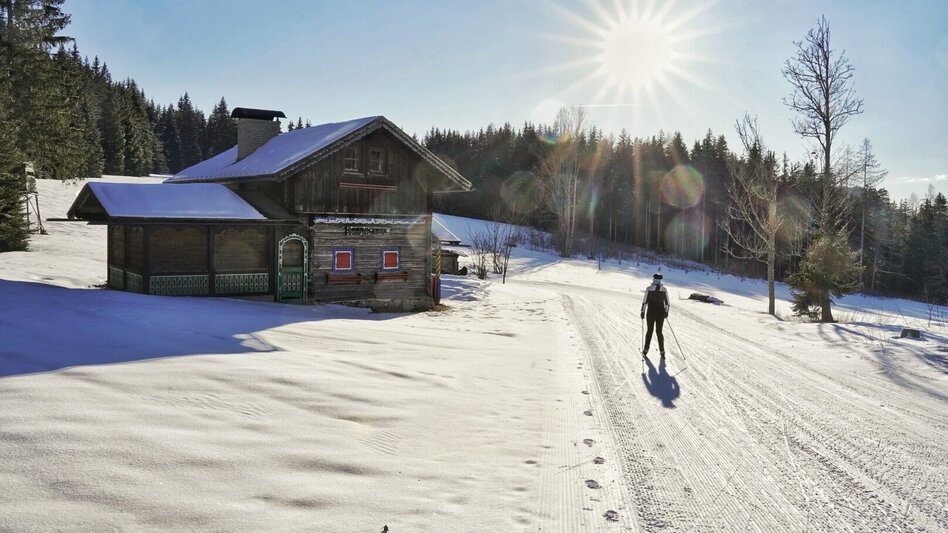 Ski nordic skating Herold-Schildlehen - Touren-Impression #2.5 | © Erlebnisregion Schladming-Dachstein