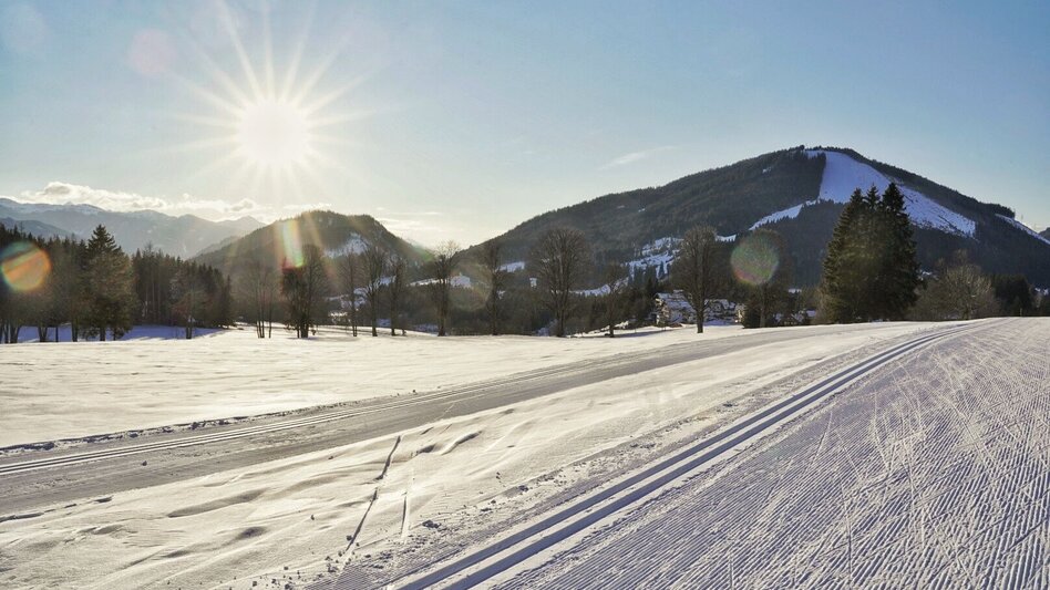 Ski nordic skating Herold-Schildlehen - Touren-Impression #2.3 | © Erlebnisregion Schladming-Dachstein