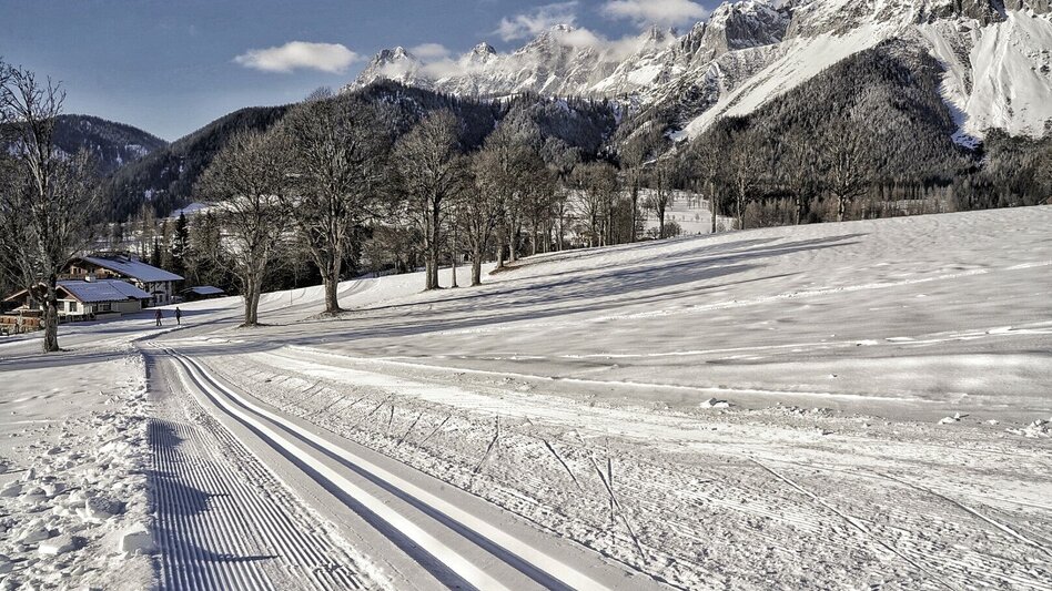 Ski nordic skating Herold-Schildlehen - Touren-Impression #2.4 | © Erlebnisregion Schladming-Dachstein