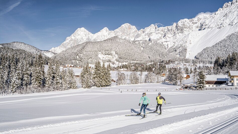 Ski nordic skating Kulmberg Forest Trail - Touren-Impression #2.3 | © Erlebnisregion Schladming-Dachstein