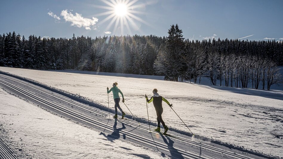 Ski nordic skating Kulmberg Forest Trail - Touren-Impression #2.1 | © Erlebnisregion Schladming-Dachstein