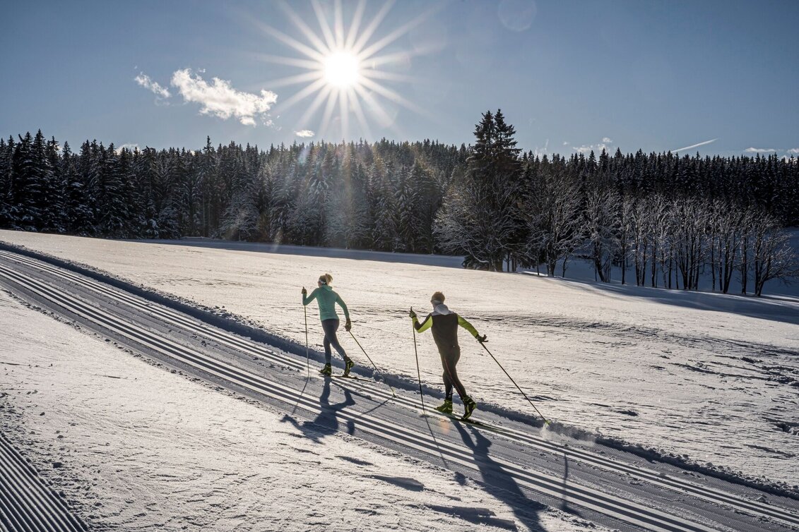 Ski nordic skating Kulmberg Forest Trail - Touren-Impression #1 | © Erlebnisregion Schladming-Dachstein
