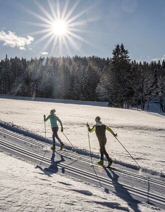On classic trail into the forest of Kulmberg | Gerhard Pilz | © Erlebnisregion Schladming-Dachstein