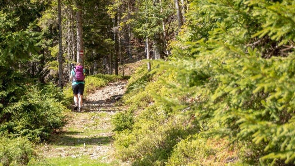 Wanderung Mödlingerhütte Normalweg - Touren-Impression #2.4 | © TV Gesäuse