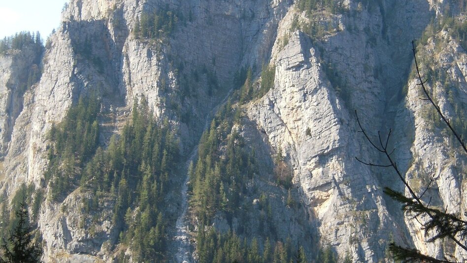Hiking route Through the Gofergraben - Touren-Impression #2.1 | © TV Gesäuse