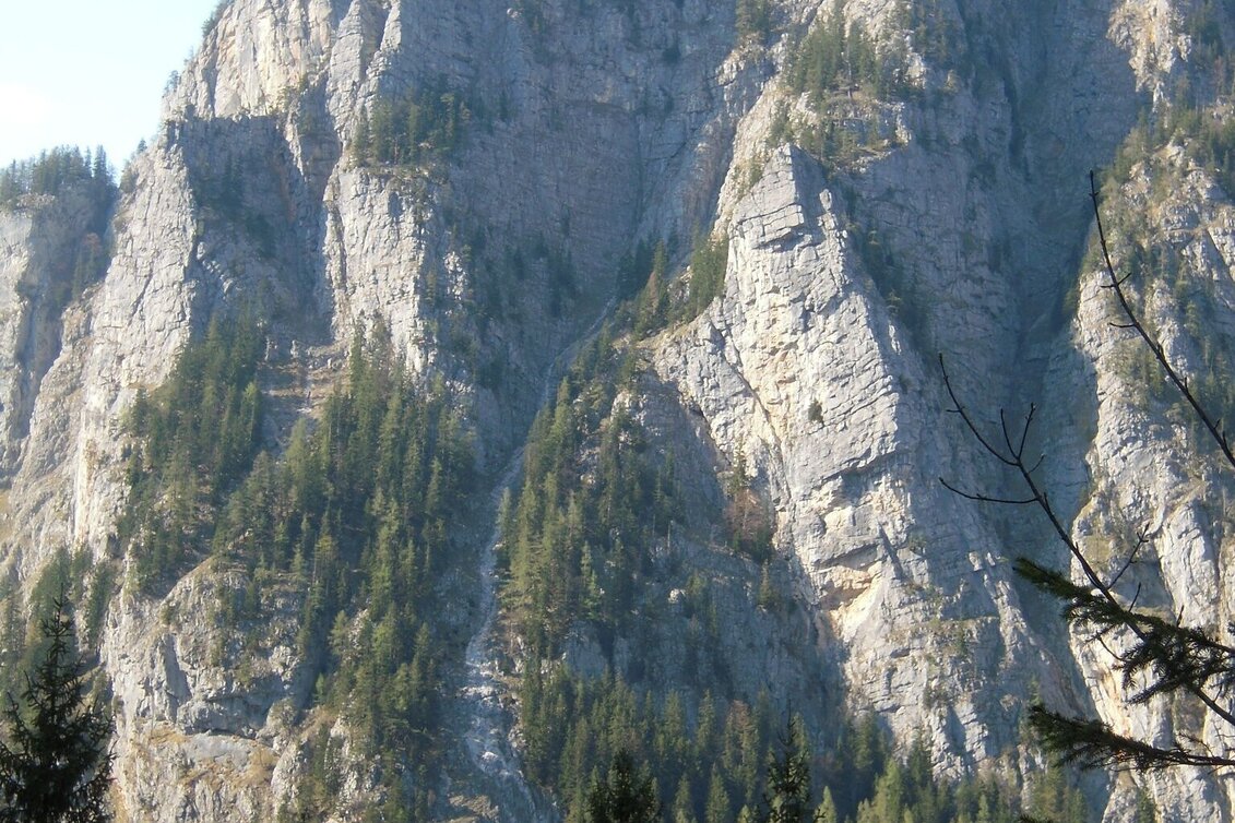 Hiking route Through the Gofergraben - Touren-Impression #1 | © TV Gesäuse