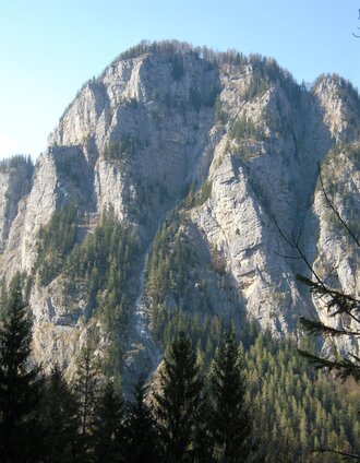 Blick vom Gofergraben zum Himbeerstein | Irmi Gruber | © TV Gesäuse