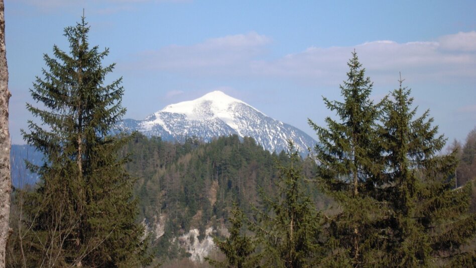 Hiking route Through the Gofergraben - Touren-Impression #2.2 | © TV Gesäuse