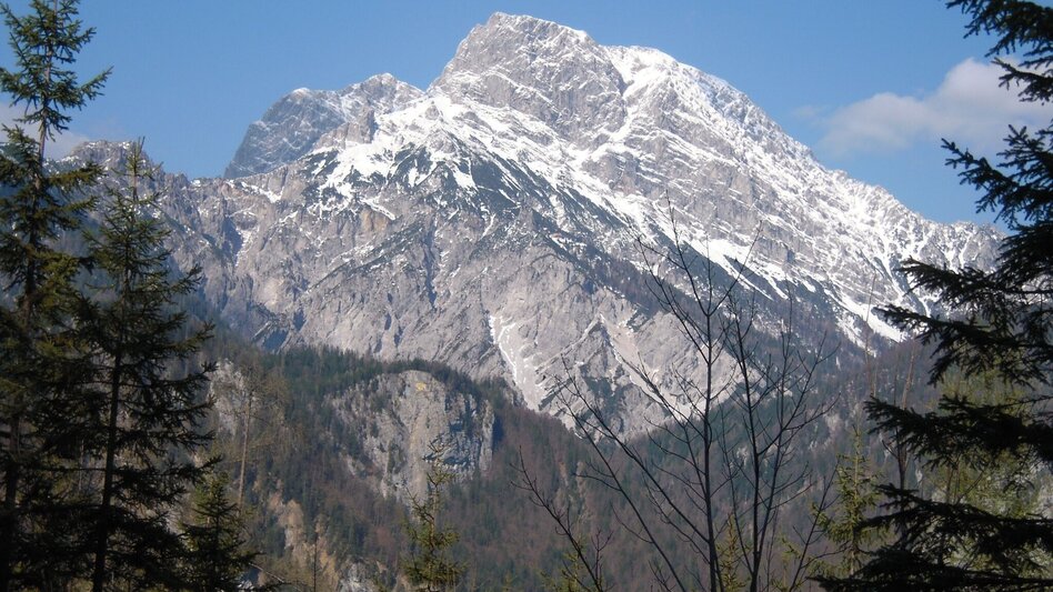 Hiking route Through the Gofergraben - Touren-Impression #2.3 | © TV Gesäuse