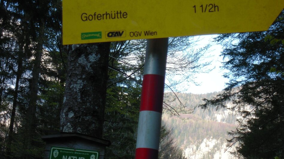 Hiking route Through the Gofergraben - Touren-Impression #2.7 | © TV Gesäuse