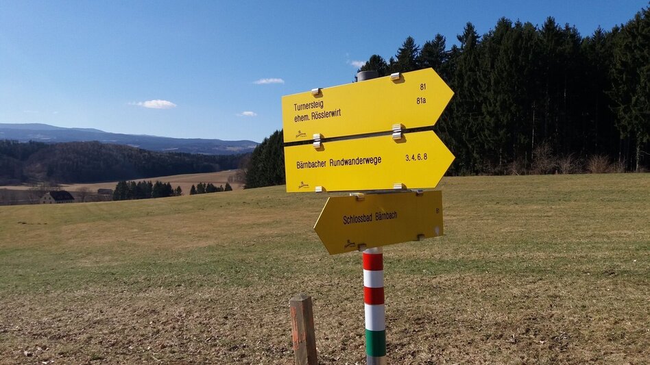Hiking route Ländliche Idylle: Rund um Bärnbach und Piber (6) - Touren-Impression #2.8 | © Tourismusbüro Lipizzanerheimat