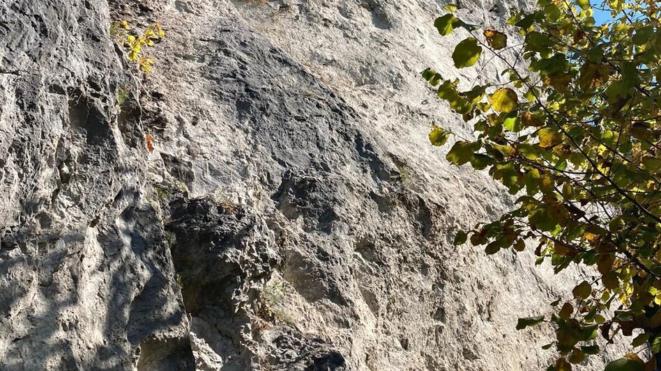 Wanderung Häuselbergrunde Leoben - Touren-Impression #2.5 | © TV  ERZBERG LEOBEN
