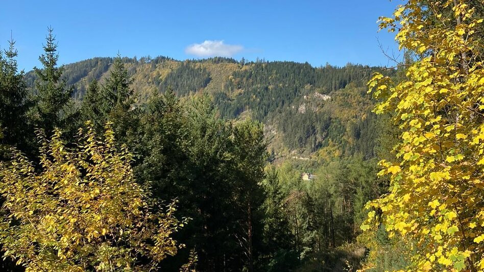 Wanderung Häuselbergrunde Leoben - Touren-Impression #2.6 | © TV ERZBERG LEOBEN