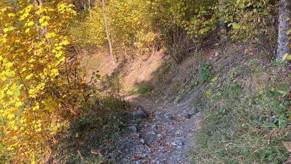 Wanderung Häuselbergrunde Leoben - Touren-Impression #2.7 | © TV ERZBERG LEOBEN