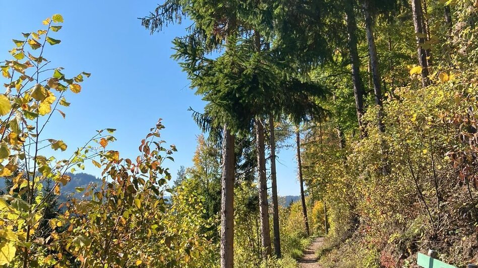 Wanderung Häuselbergrunde Leoben - Touren-Impression #2.11 | © TV ERZBERG LEOBEN