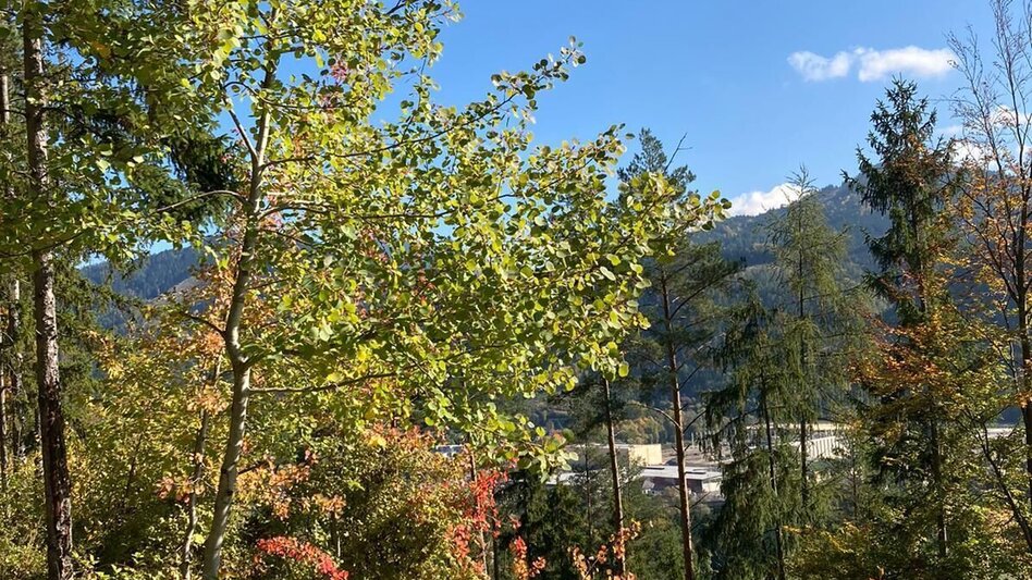 Wanderung Häuselbergrunde Leoben - Touren-Impression #2.14 | © TV ERZBERG LEOBEN