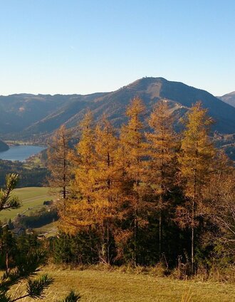 Ausblick von der Mariazeller Bürgeralpe | Brigitte Digruber | © TV Hochsteiermark