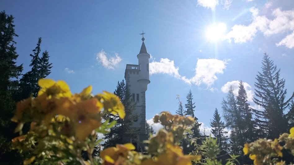 Wanderung Rund um die Mariazeller Bürgeralpe (694 und 692) - Touren-Impression #2.3 | © TV Hochsteiermark