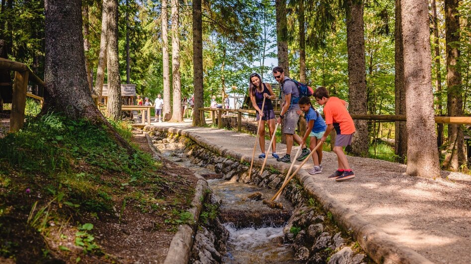Wanderung Rund um die Mariazeller Bürgeralpe (694 und 692) - Touren-Impression #2.5 | © TV Hochsteiermark