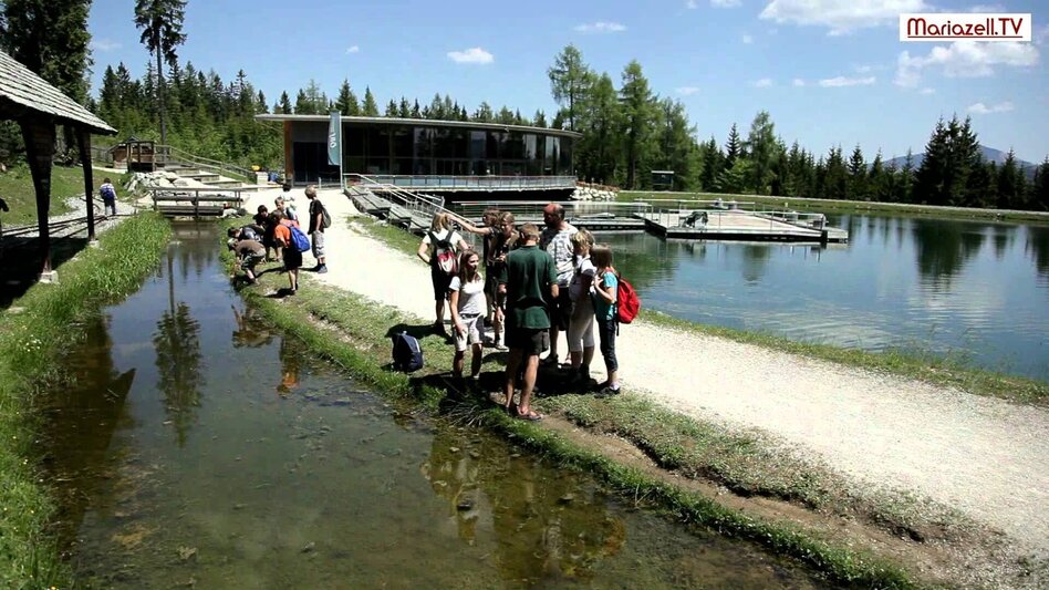 Wanderung Rund um die Mariazeller Bürgeralpe (694 und 692) - Touren-Impression #2.10 | © Hochsteiermark