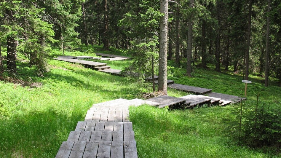 Hiking route Hebalm-Extras: Vom Dom des Waldes zum Hebalmsee - Touren-Impression #2.6 | © Werbeagentur SMAC