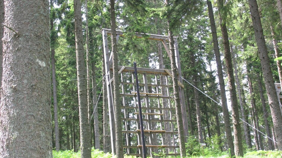 Hiking route Hebalm-Extras: Vom Dom des Waldes zum Hebalmsee - Touren-Impression #2.7 | © Region Graz