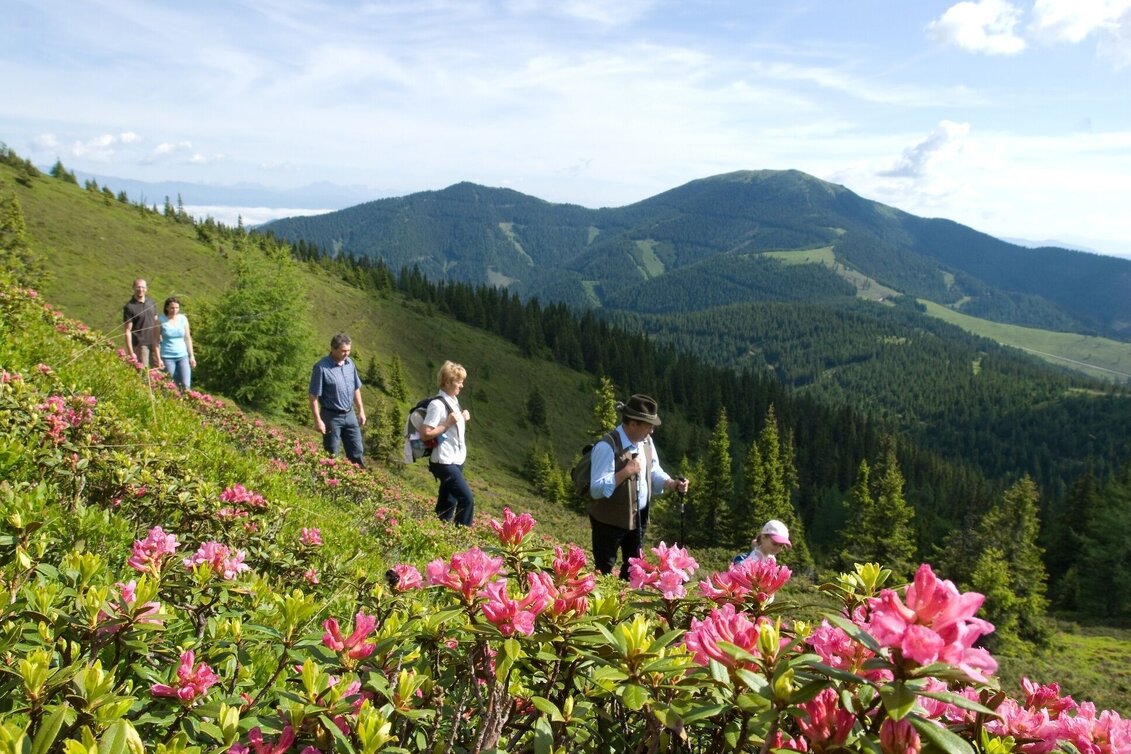 Hiking route Vom Salzstiegl nach Hirschegg (Speikkogel / Bernsteinhütte) - Touren-Impression #1 | © www.spengerwirt.at