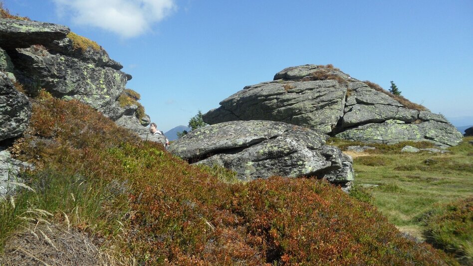 Hiking route Vom Salzstiegl nach Hirschegg (Speikkogel / Bernsteinhütte) - Touren-Impression #2.10 | © Region Graz